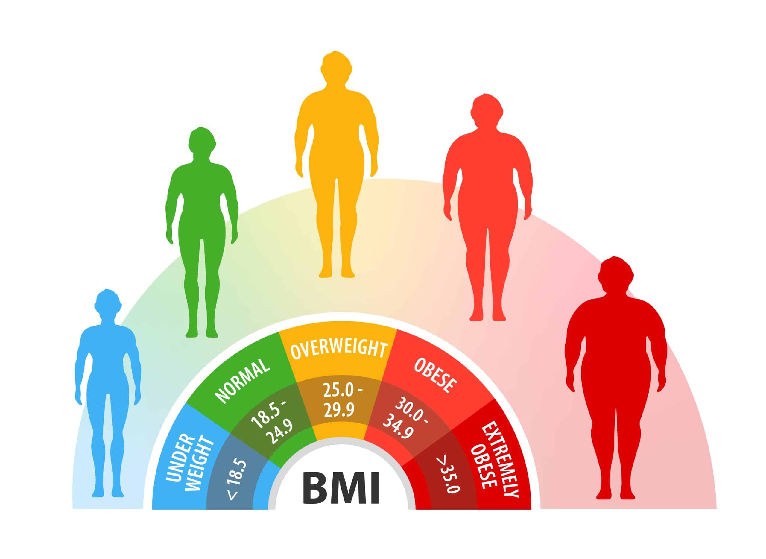 Color coded BMI chart for medical weight loss